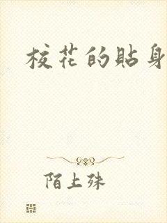 校花的贴身杀手