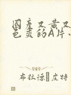 国产又黄又大又色爽的A片小说