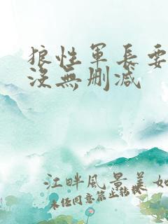 狼性军长要够了没无删减