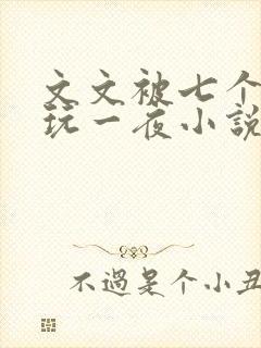 文文被七个男人玩一夜小说