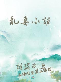 乱妻小说