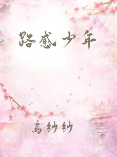 路感少年