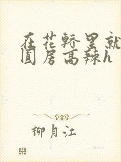 在花轿里就开始圆房高辣h