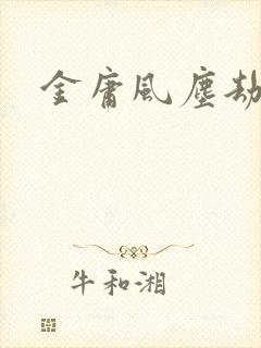 金庸风尘劫