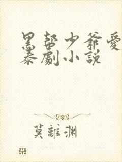 黑帮少爷爱上我泰剧小说