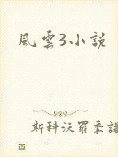 风云3小说