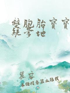 双胞胎宝宝的总统爹地