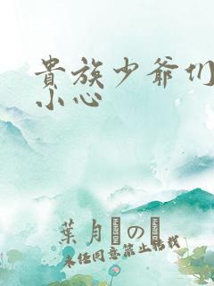 贵族少爷们 请小心