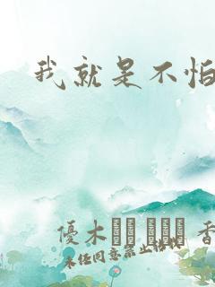 我就是不怕小说