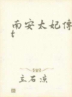 南安太妃传txt