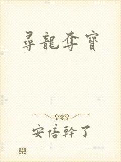 寻龙夺宝