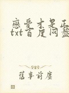 恋爱才是正经事txt百度网盘