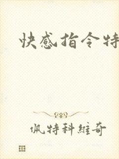 快感指令特别篇