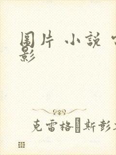 图片 小说 电影