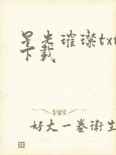 星光璀璨txt下载