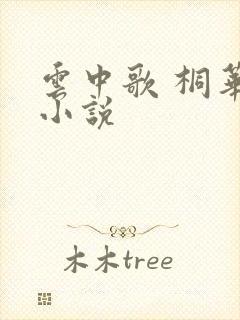 云中歌 桐华 小说