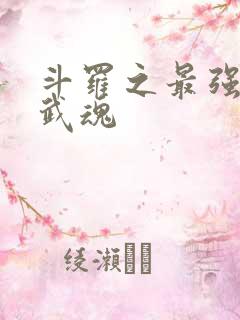 斗罗之最强治疗武魂