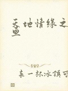 天地情缘之美人鱼