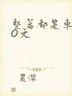 整篇都是车的PO文