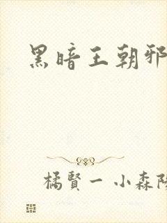 黑暗王朝邪恶版