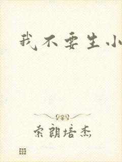 我不要生小孩儿