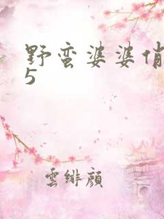 野蛮婆婆俏媳妇5