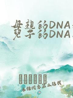 母亲的DNA和儿子的DNA是一样的吗