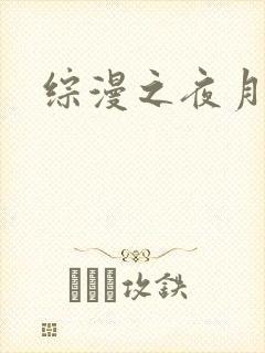 综漫之夜月