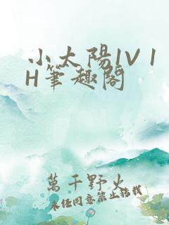 小太阳1V 1H笔趣阁