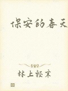 保安的春天