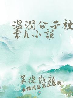 温润公子被脔日常h小说