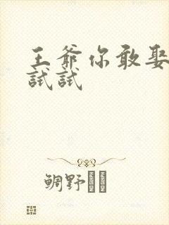 王爷你敢娶小三试试