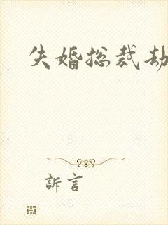 失婚总裁劫前妻