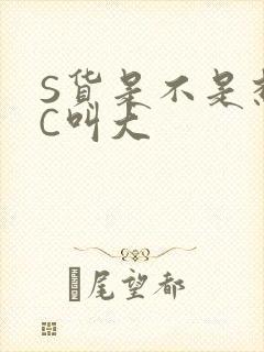 S货是不是想挨C叫大