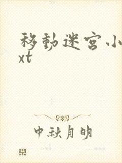 移动迷宫小说txt