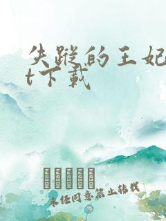 失踪的王妃txt下载