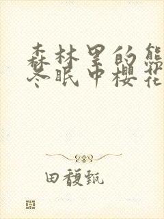 森林里的熊先生冬眠中樱花动漫