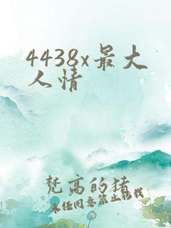 4438x最大人情