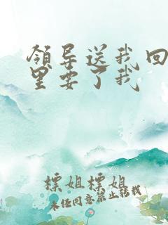 领导送我回家车里要了我