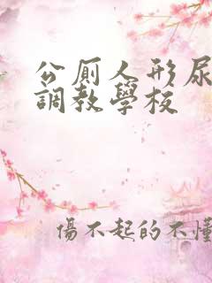 公厕人形尿便器调教学校