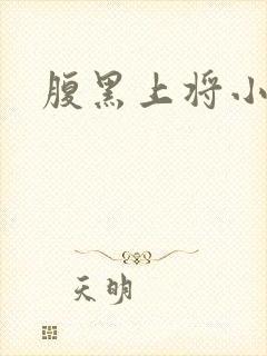 腹黑上将小小妻