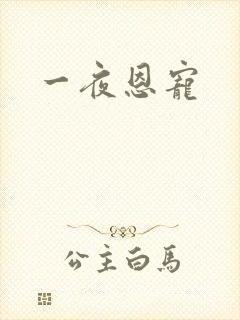 一夜恩宠