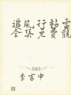 追风行动电视剧全集免费观看