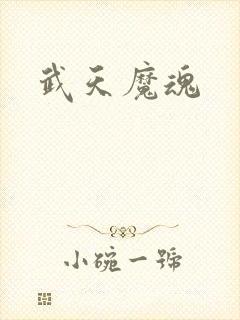 武天魔魂