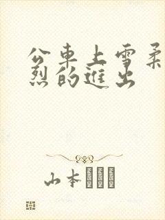 公车上雪柔被猛烈的进出