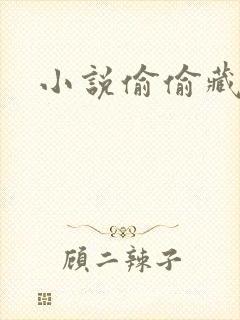 小说偷偷藏不住