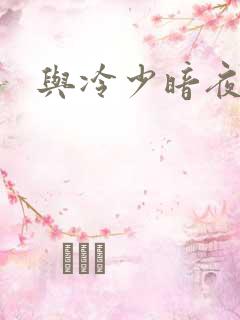 与冷少暗夜孽爱