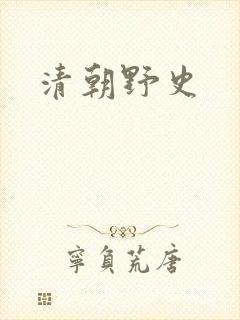 清朝野史