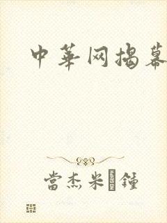 中华网揭幕内参