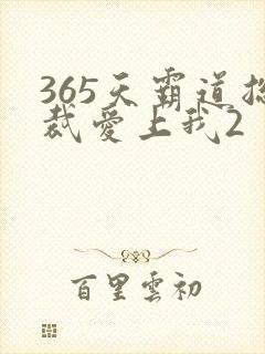 365天霸道总裁爱上我2